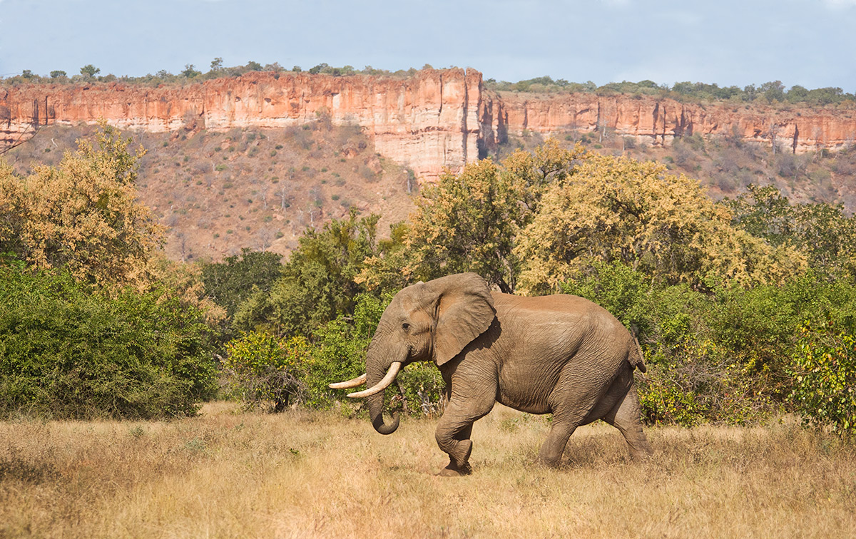 Chilo Gorge and Elephant