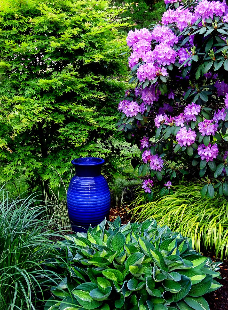Patio garden