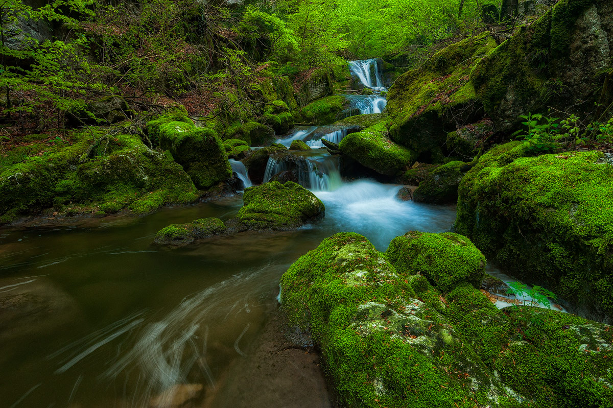 Mossy Stones
