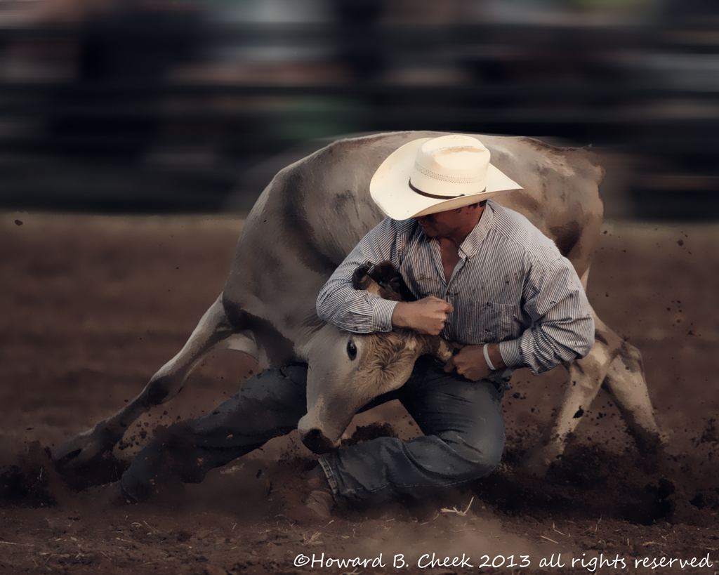 Rodeo 'Knight'
