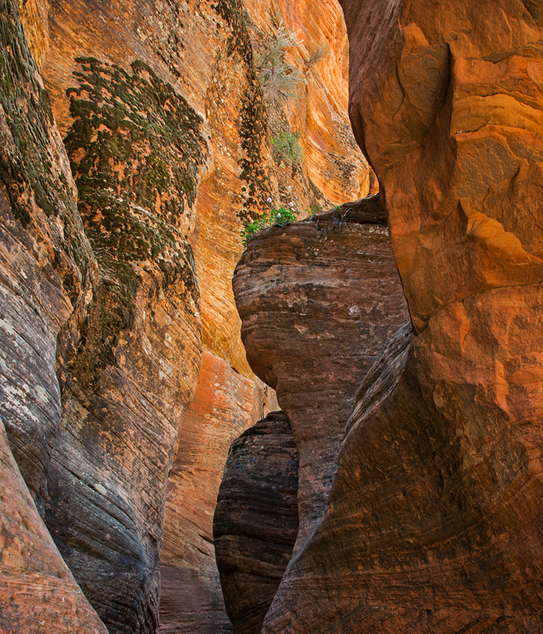  .012 slot canyon