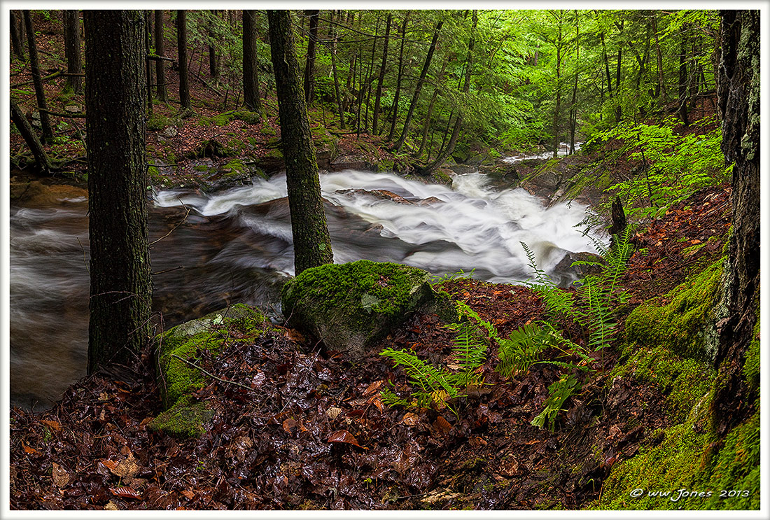 Torrent