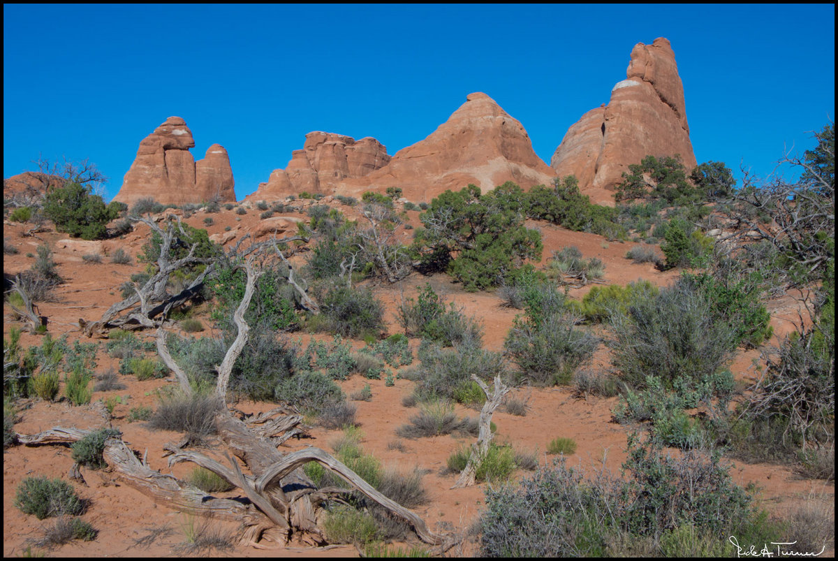 Arches National Park