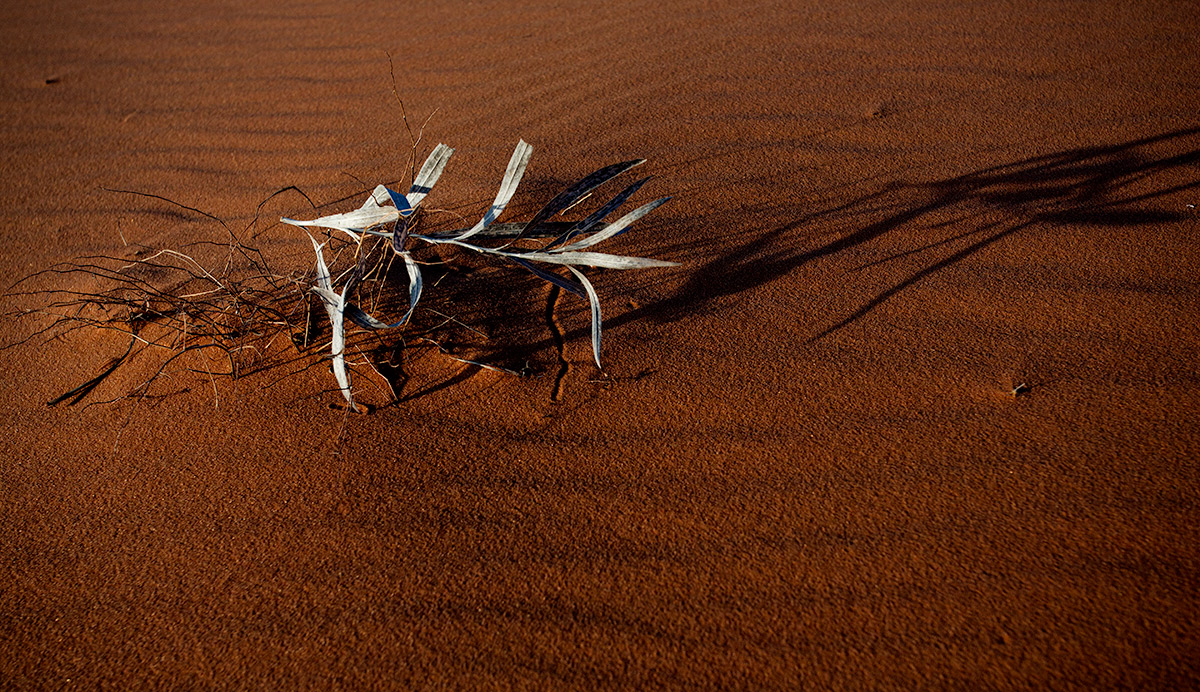 Dune intimate