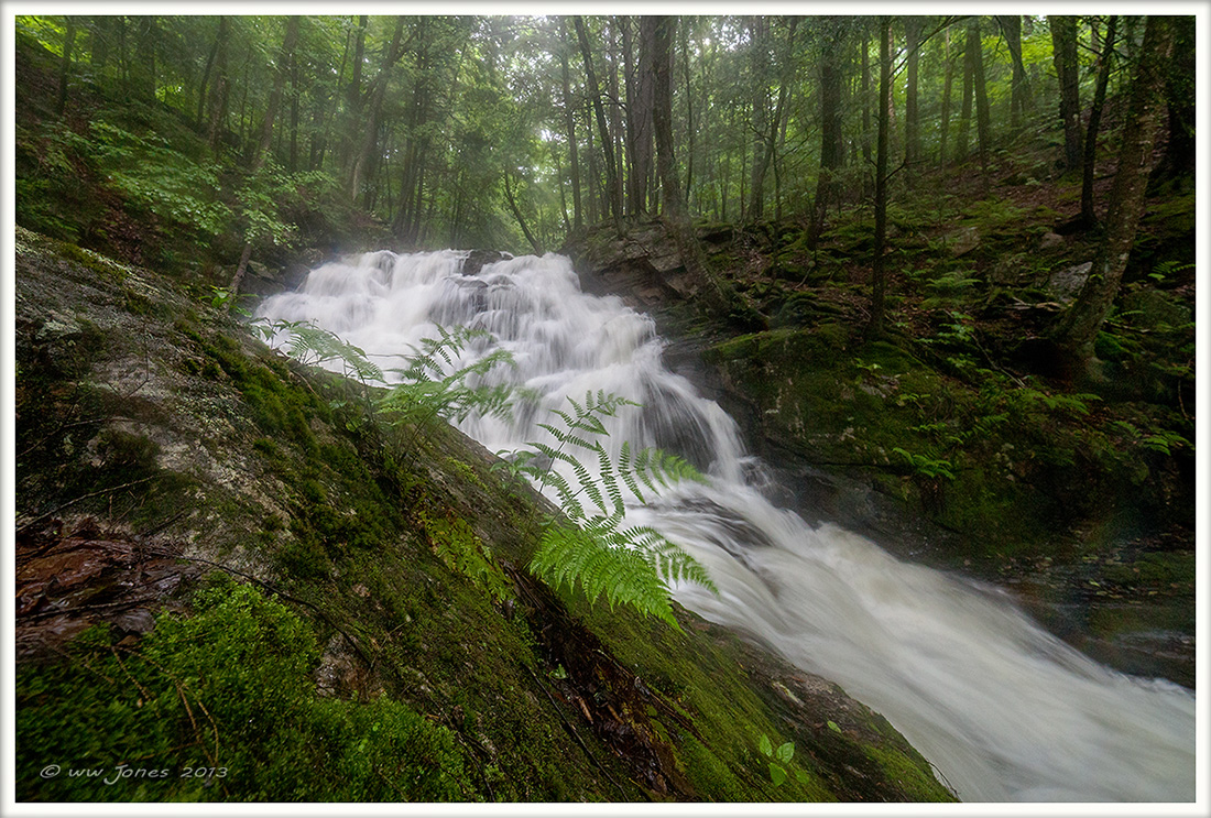 Torrent II