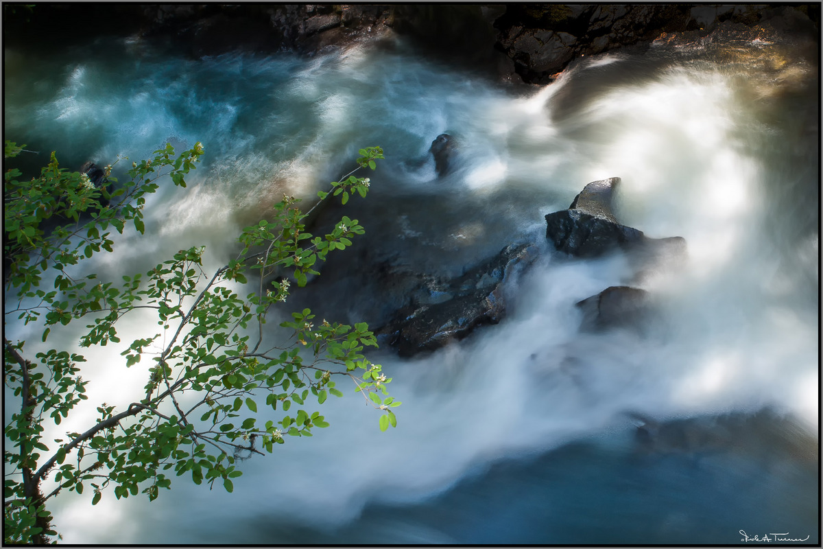 Rogue River Rush