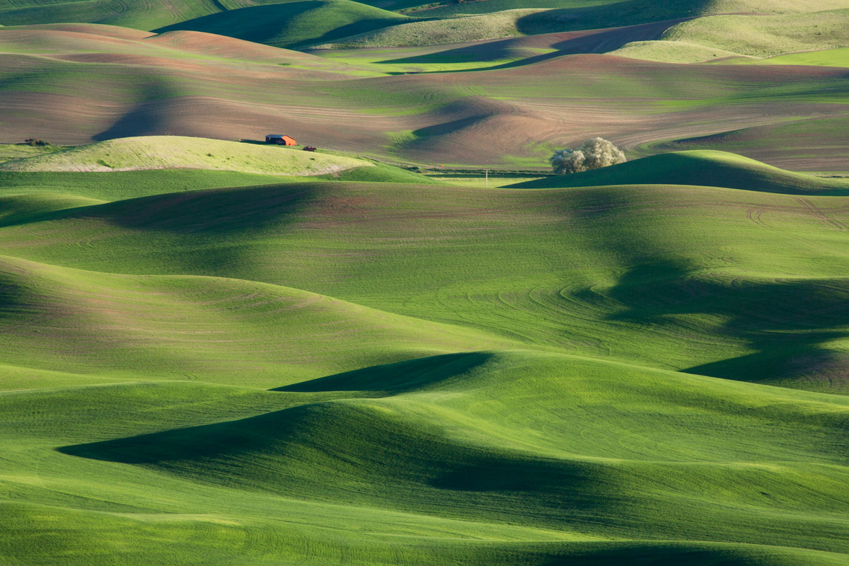 Palouse evening