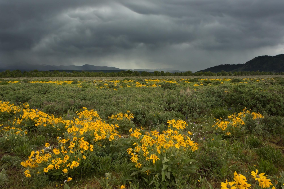 Stormy Teton morning