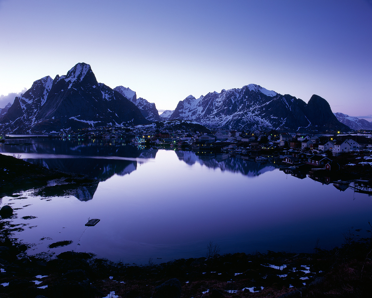 Norwegian Blue