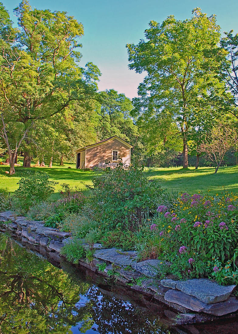 Pastoral Pond