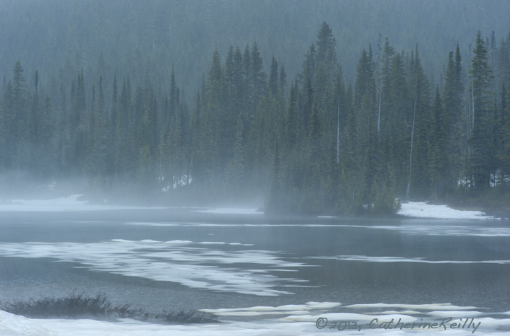 Reflection Lake