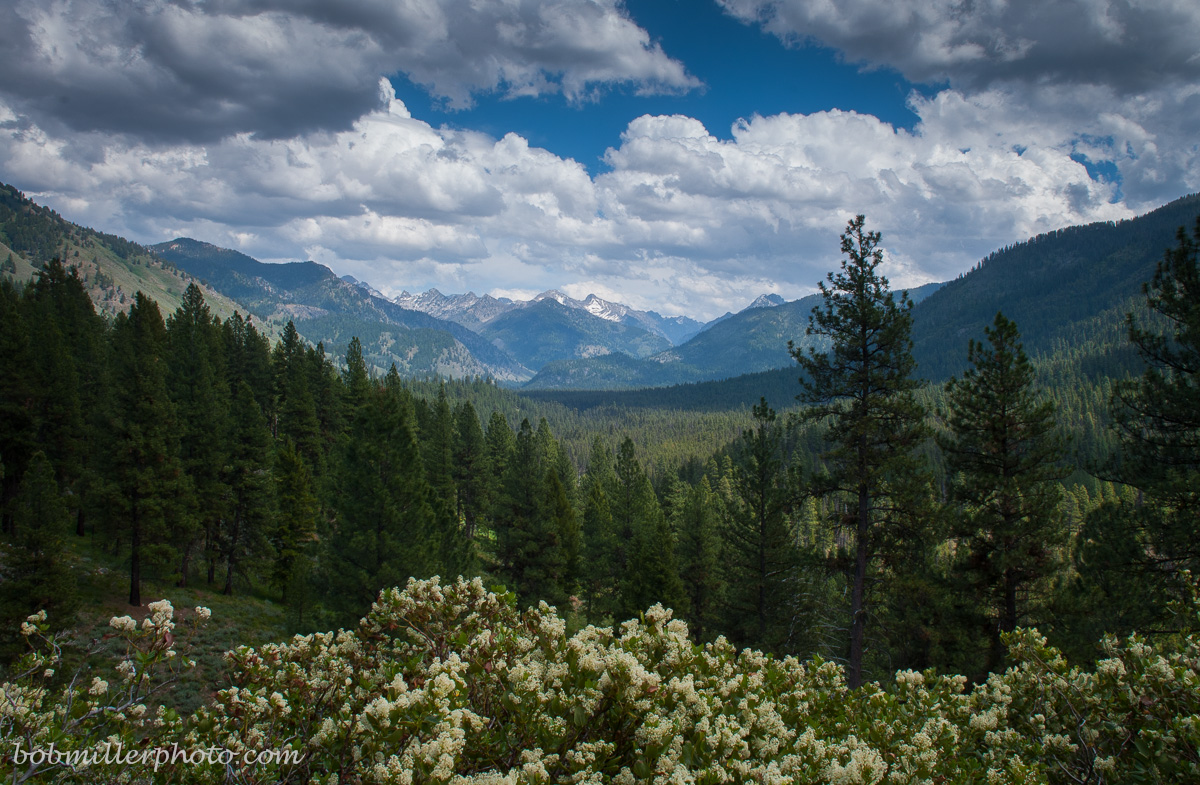 Grandjean Vista