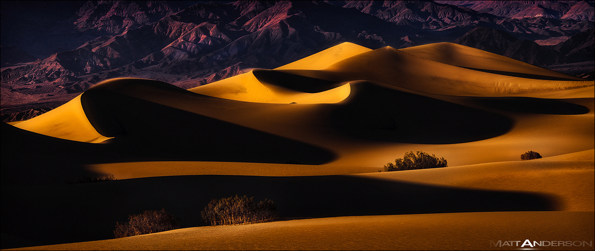 TwiSTeD duNEs