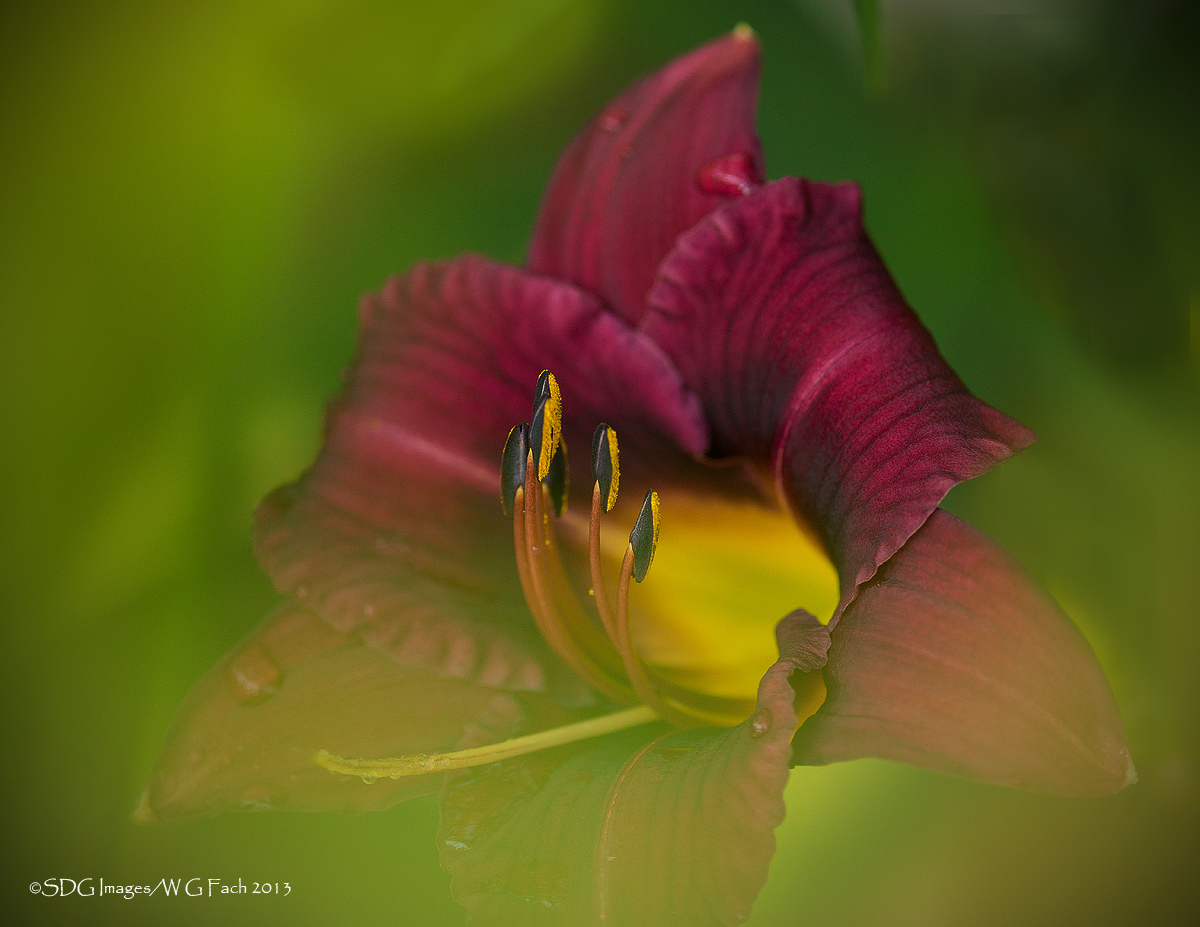 Dark Recesses