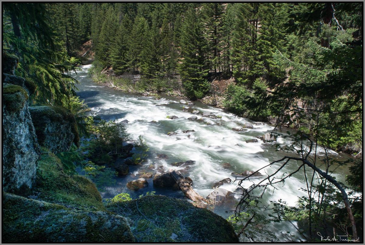 Rogue River 