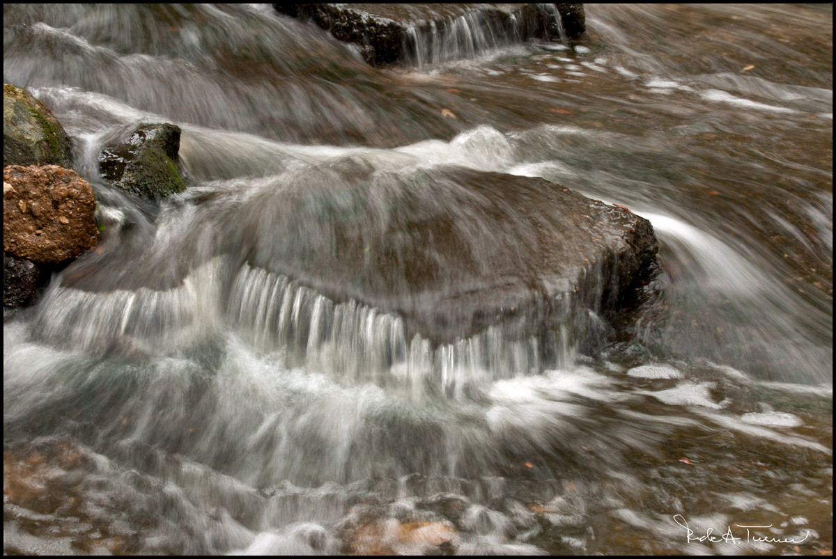 Turtle Creek Rush