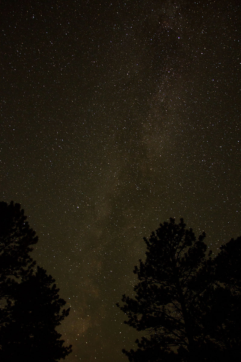 Milky Way and Repost