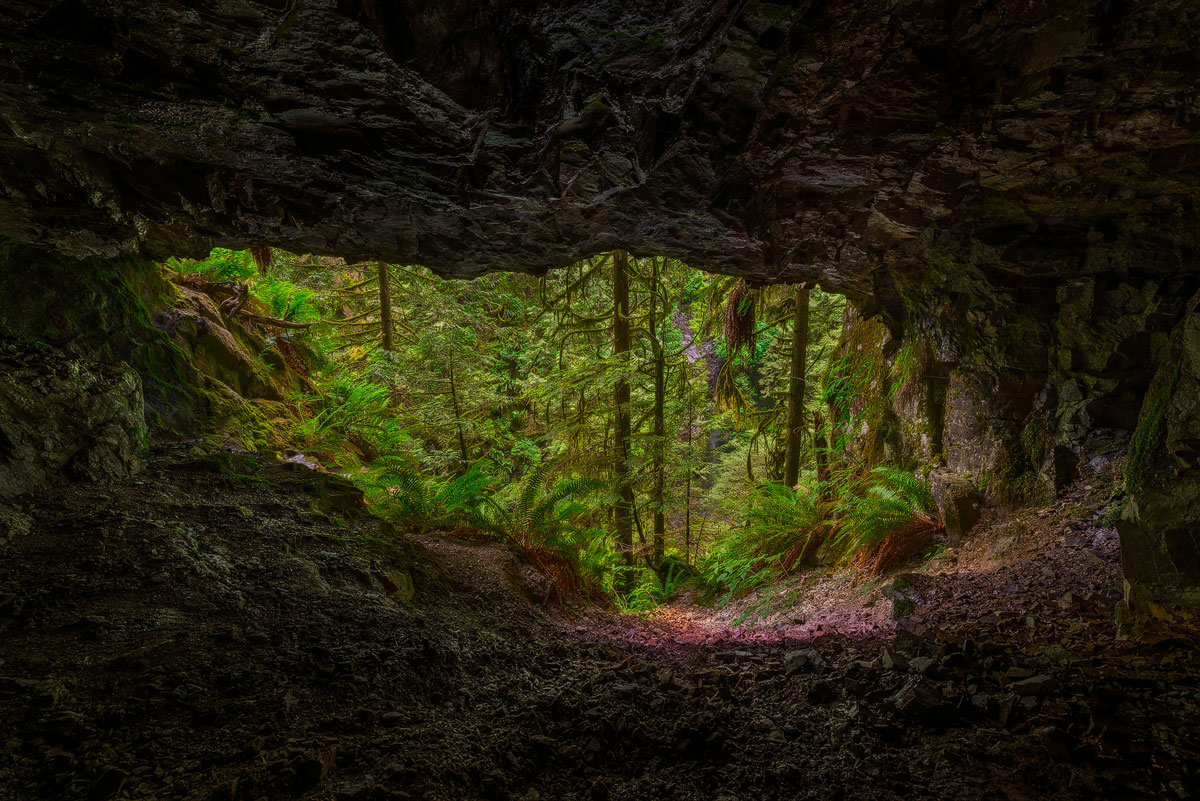 The way out