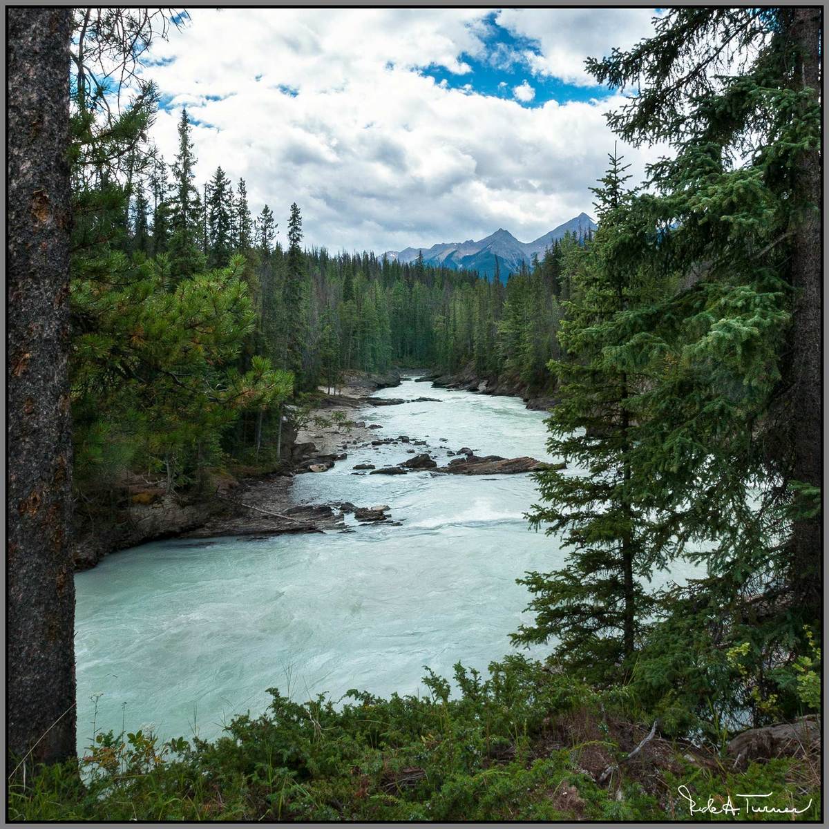 Kicking Horse River 2