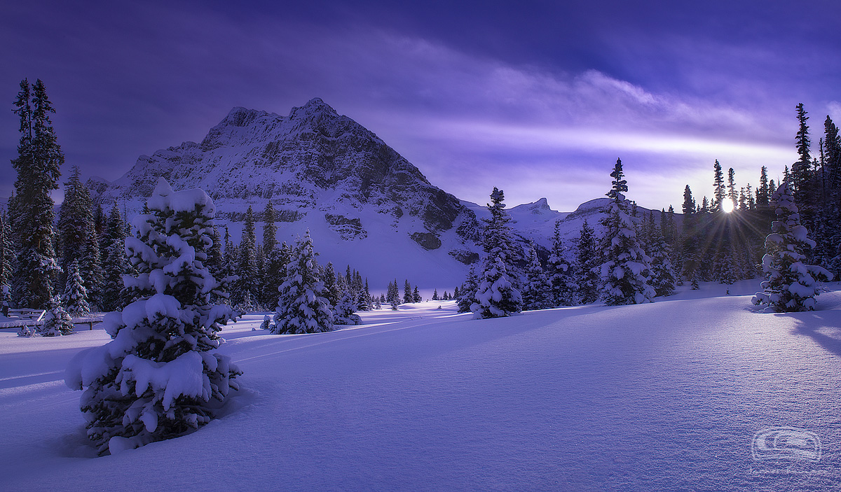 FRESH TRACKS+RP