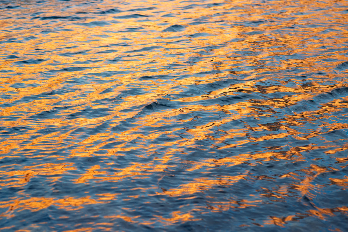 Morning Glow