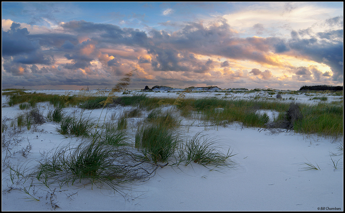 Sea Oats & Clouds