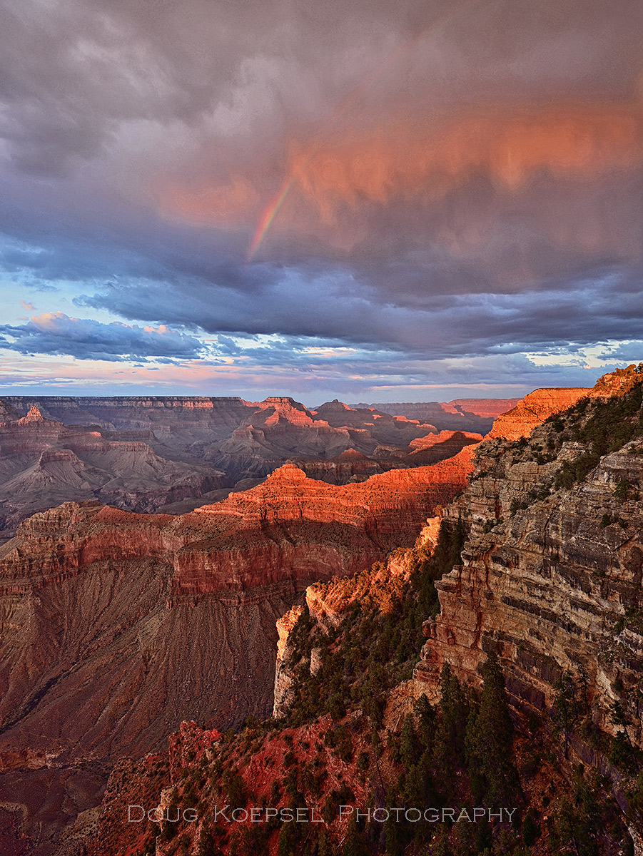 Canyon Gold + repost