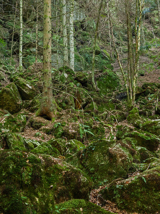 Stillensteinklamm