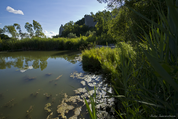 At the marshes