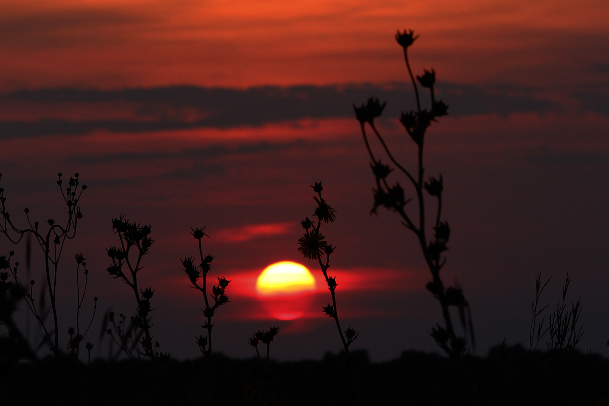 sun down on the prairie