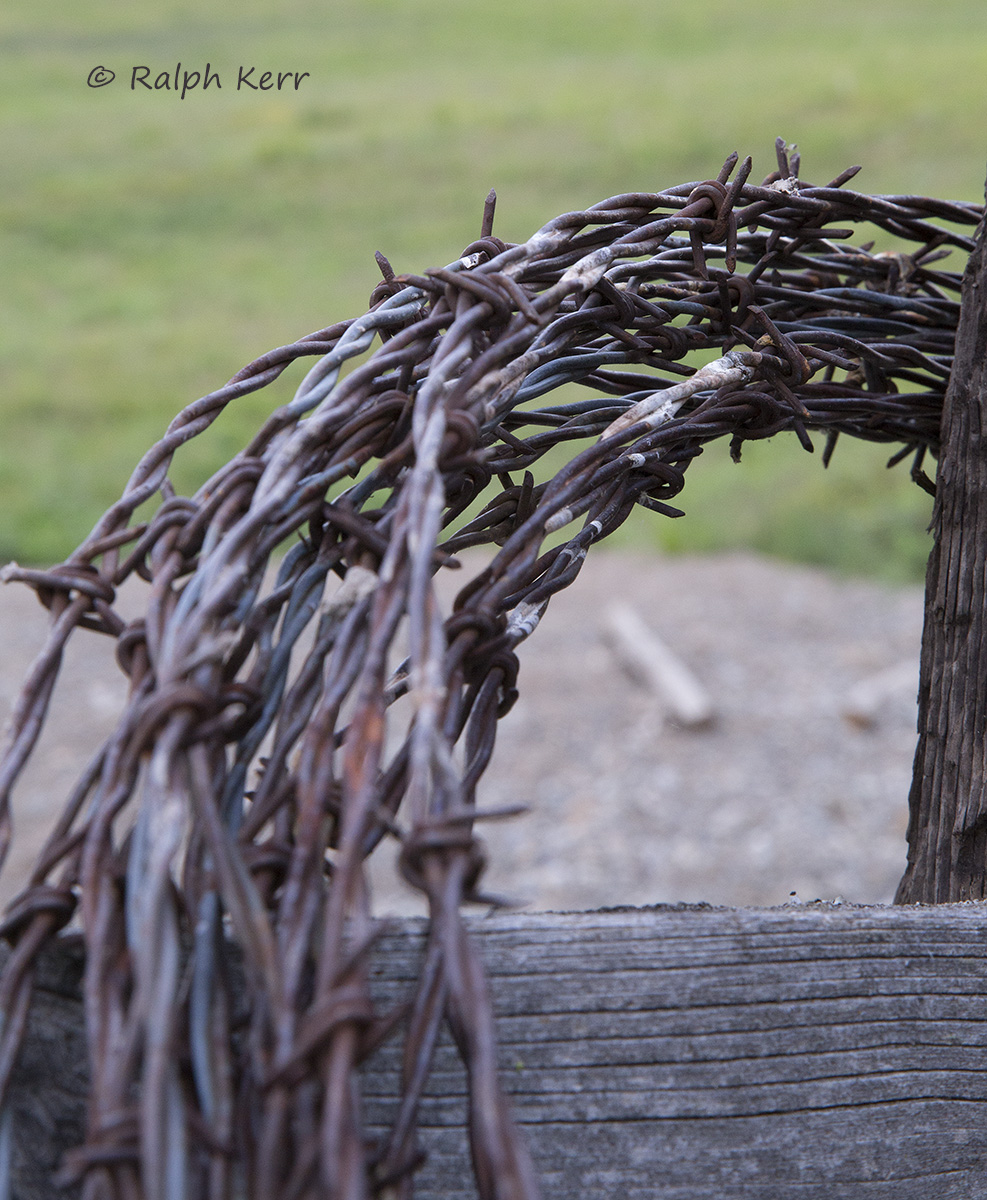 Barbed Wire