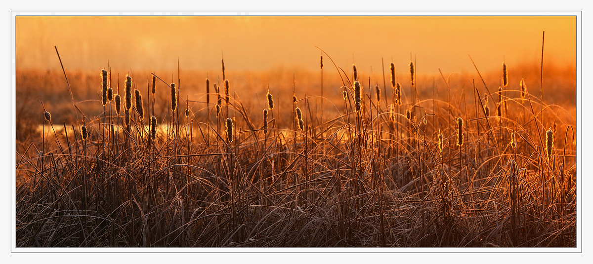Bakken's Pond Sunrise + earlier shot