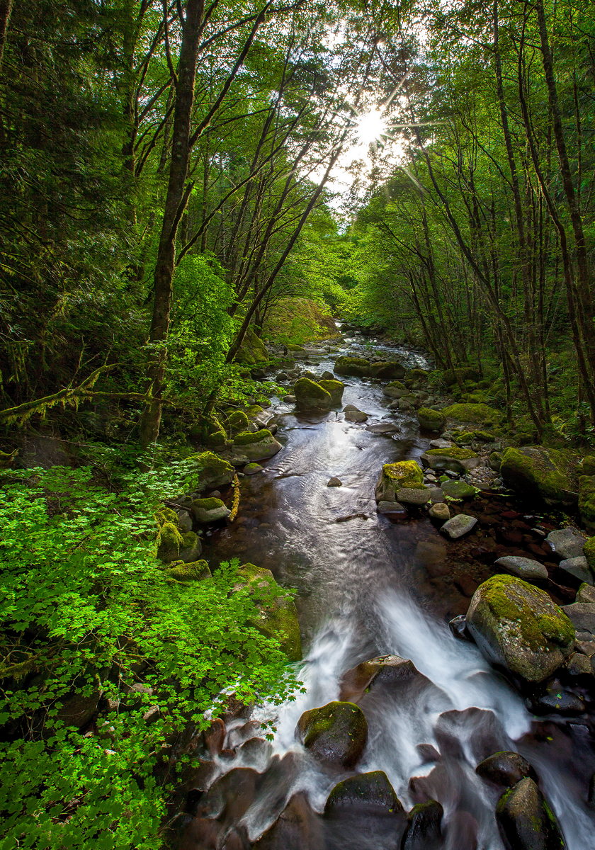 Herman Creek