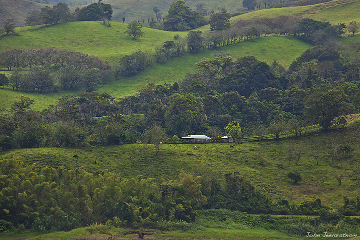Rolling hills