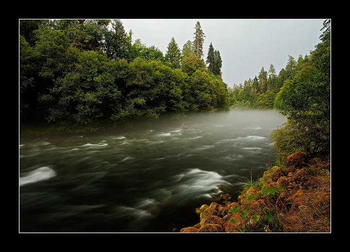 More McKenzie River