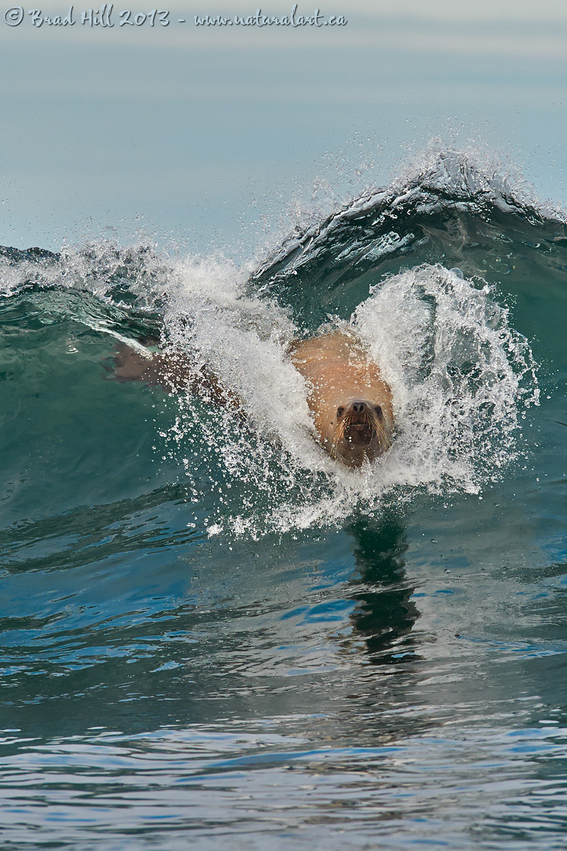 Catching the Wave!