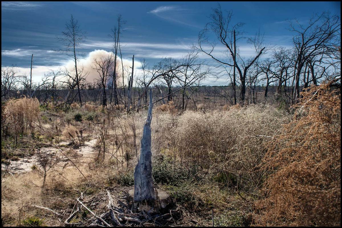 Texas Wildfires