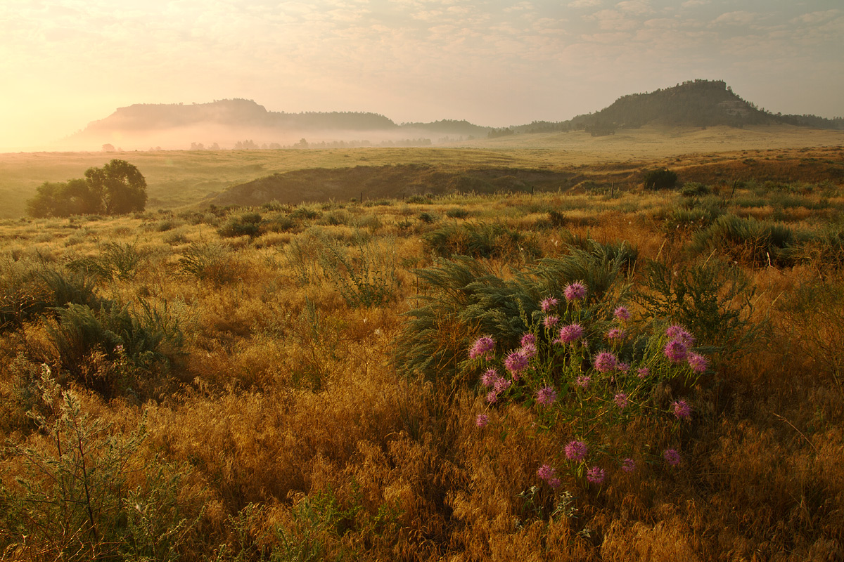 On the Prairie