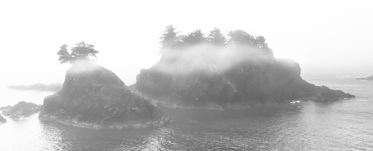Pacific Coast Dreams
