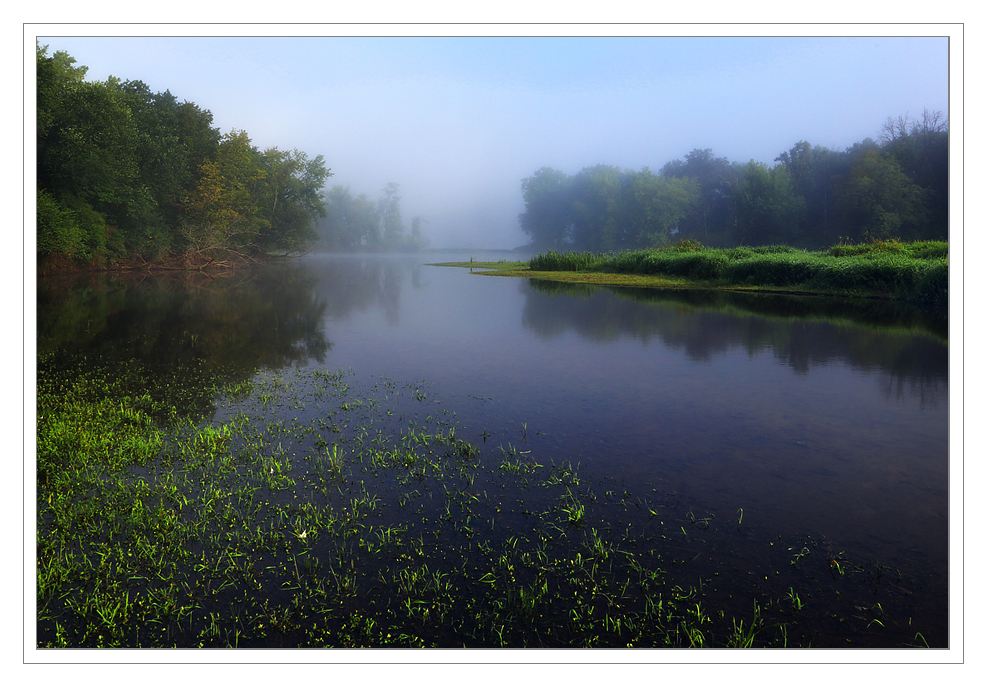 Tranquil Morning