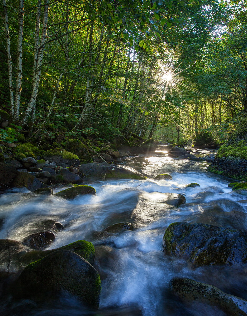 Herman Creek
