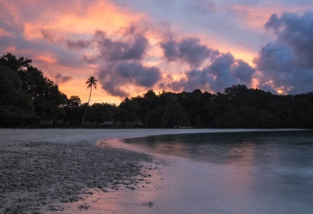 Champagne Dusk