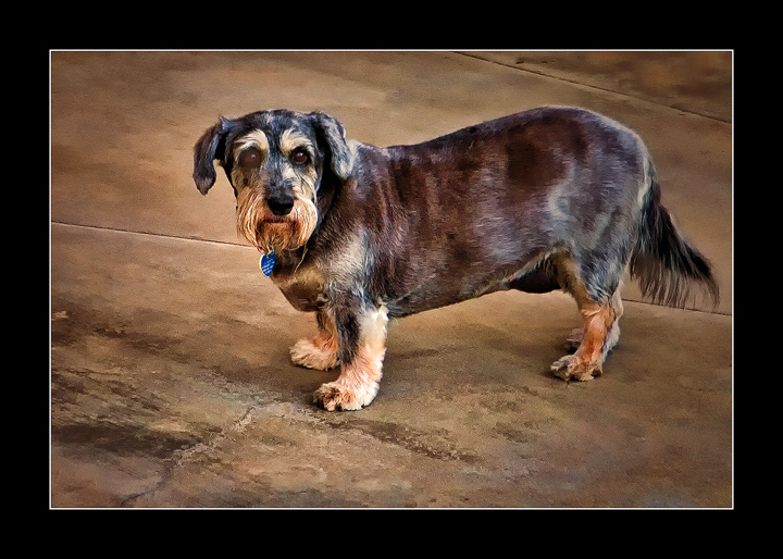 Pepper