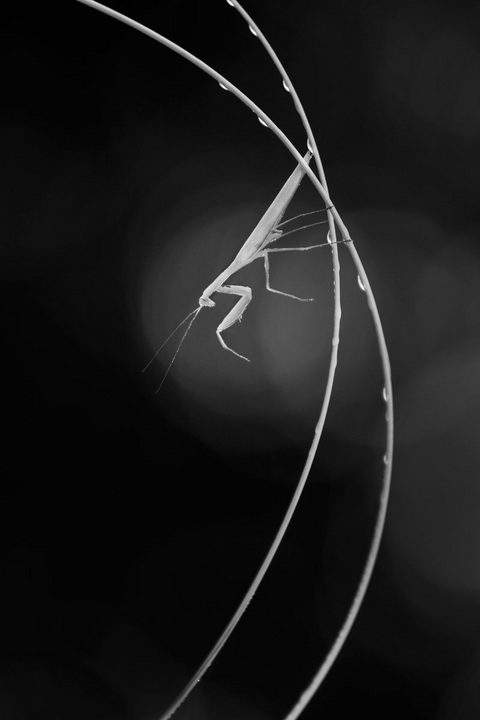 Reaching Out