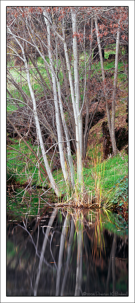 Matelot Pond + RePost