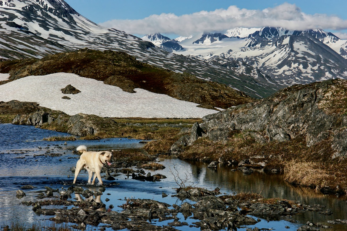 603 Mountain Traverse