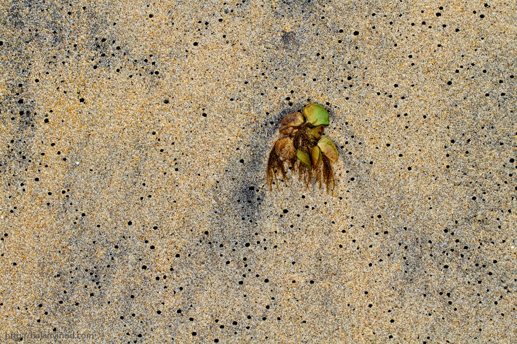 The Sands