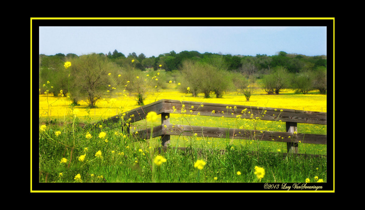 Flooded with yellow