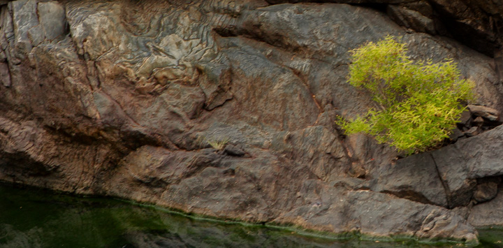 Willow and the Rocks