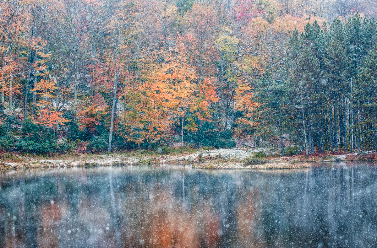 Transition